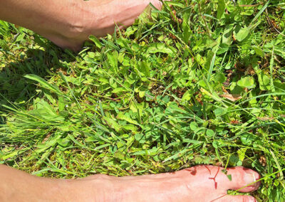 Zwei nackte Füße stehen im grünen Gras